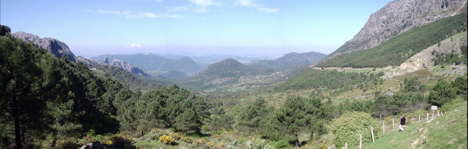 puerto de el boyar